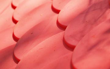 Nash Lee plastic roof costs